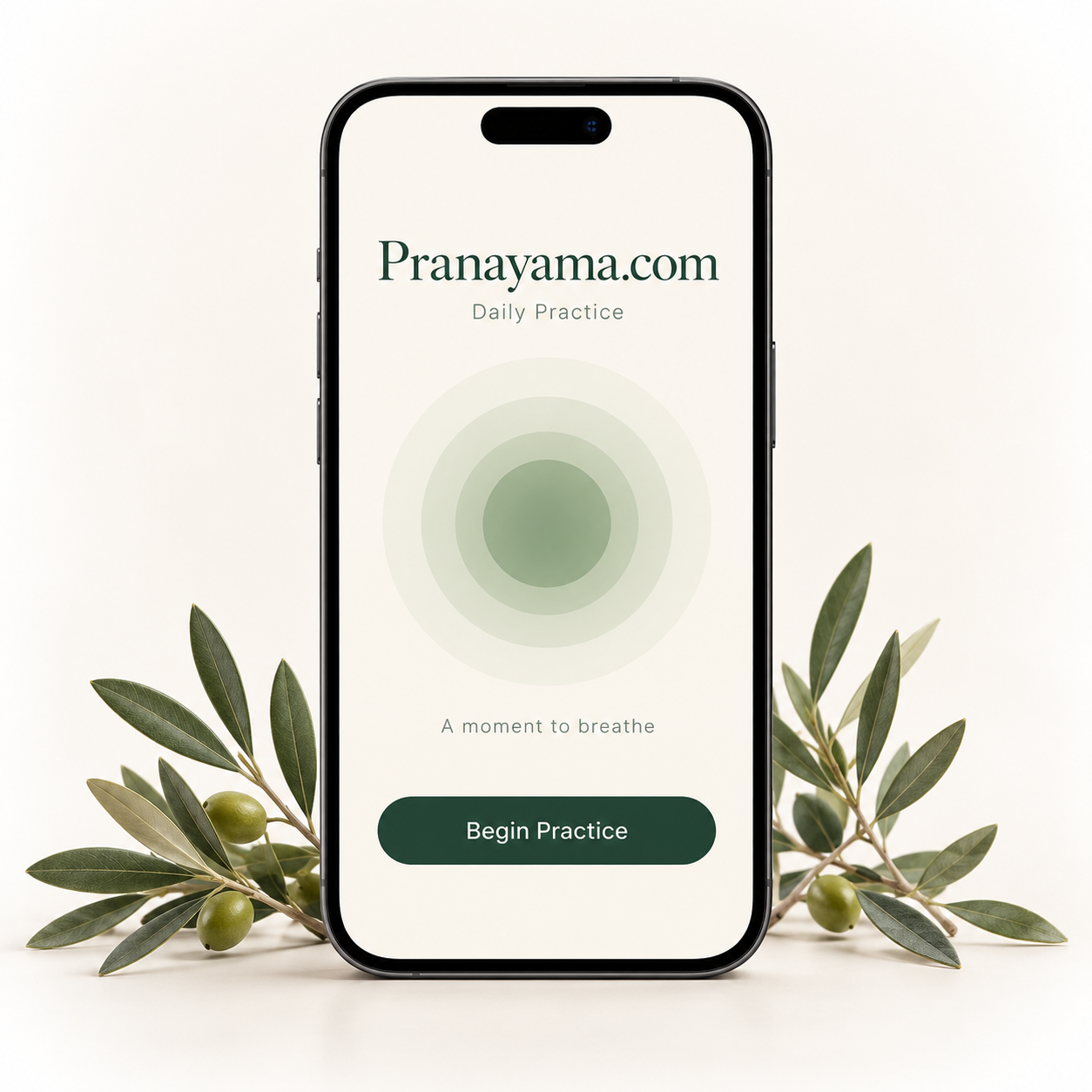 Pranayama.com app concept displayed on a phone beside olive branches.